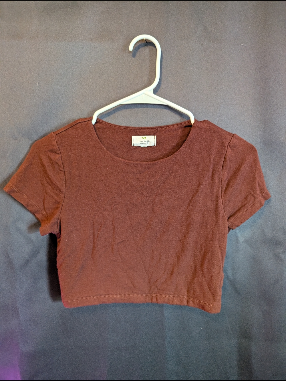 Short Sleeve Terracotta Crop Top — Unknown Brand